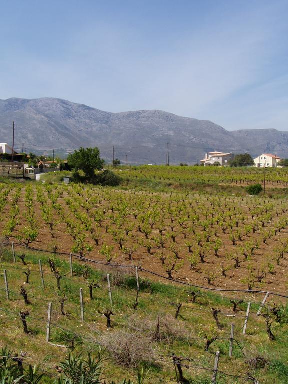 Christina Villas- Minoan Inland Pentamodi Exterior foto